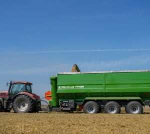 Viljatigu Chaser bin T743M