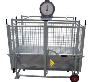 Lammaste / vasikate kaal